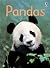 Pandas (Beginners Series)