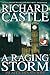 Im Auge des Sturms by Richard Castle Im Auge des Sturms by Richard Castle