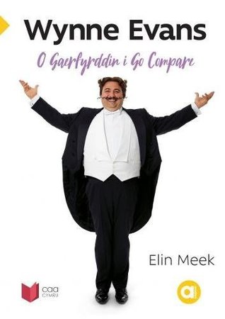 Cyfres Amdani: Wynne Evans - O Gaerfyrddin i Go Compare (Paperback)