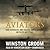 The Aviators: Eddie Rickenbacker, Jimmy Doolittle, Charles Lindbergh, and the Epic Age of Flight