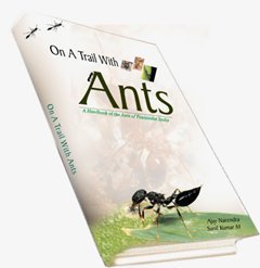 On a Trail with Ants: A Handbook of the Ants of Peninsular India (Paperback)