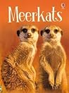 Meerkats (Usborne Beginners)