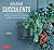 Stylish Succulents: Japanese Inspired Container Gardens for Small Spaces