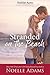 Stranded on the Beach (Holiday Acres, #1) by Noelle Adams
