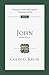John: An Introduction and Commentary (Volume 4) (Tyndale New Testament Commentaries)