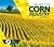 Inside the Corn Industry