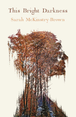 This Bright Darkness (Paperback)