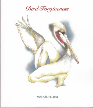 Bird Forgiveness