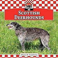 Scottish Deerhounds (Dogs Set 10)