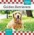 Golden Retrievers
