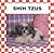 Shih Tzus: Bob Temple