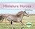 Miniature Horses