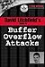David Litchfield's Guide To Buffer Overflow Attacks by David Litchfield