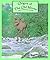 Origins of the Old Moose (T...