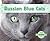 Russian Blue Cats