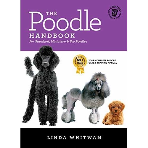 standard poodle feeding guide