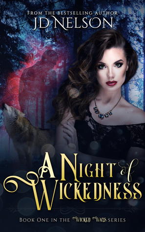 A Night of Wickedness (Wicked Ways #1)