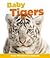 Baby Tigers (Baby Animals 2)