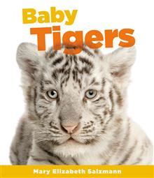 Baby Tigers (Baby Animals 2)
