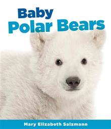 Baby Polar Bears (Baby Animals)
