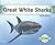 Great White Sharks
