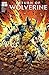 Return of Wolverine #1