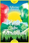 Podul către Terab...