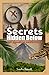 Secrets Hidden Below (The Adamson Adventures, #1)
