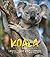 Koala Stories