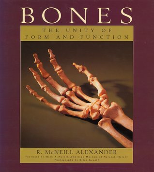 Bones: The Unity of Form and Function