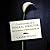 Confessions of a Funeral Director: How the Business of Death Saved My Life