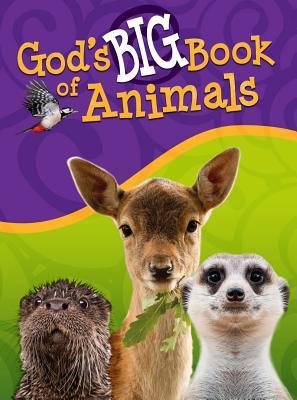 God's Big Book of Animals (Hardcover)