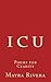 I C U: Poems For Clarity