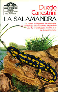 La salamandra (Hardcover)