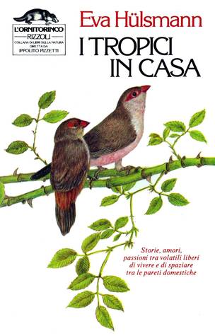 I tropici in casa (Hardcover)