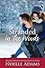Stranded in the Woods (Holiday Acres, #3) by Noelle Adams