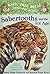 Sabertooths and the Ice Age: A Nonfiction Companion to Sunset of the Sabertooth (Magic Tree House Research Guide)