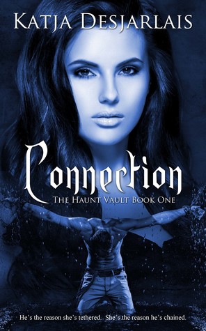 Connection: The Haunt Vault Book One