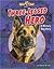 Three-Legged Hero: A Military Dog Story
