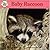 Baby Raccoon
