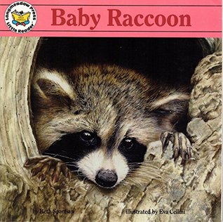 Baby Raccoon (Paperback)