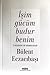 İşim Gücüm Budur Benim: İş İnsanının Yeni Sorumlulukları