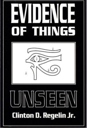 Evidence of Things Unseen (Paperback)