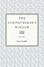 The Cabinetmaker's Window by Steve Scafidi