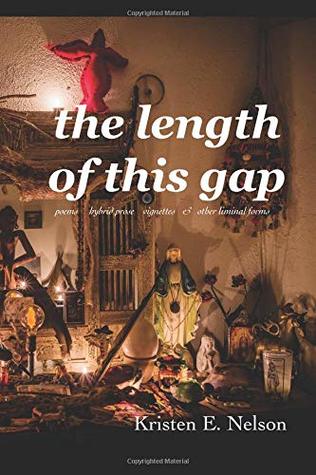 The Length of This Gap (Paperback)