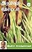 Irumbu Thottam by Indra Soundar Rajan