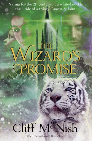 The Wizard's Promise (Doomspell, #3)