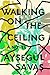 Walking on the Ceiling by Aysegül Savas Walking on the Ceiling by Aysegül Savas