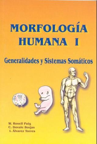 Morfología humana I