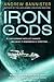 Iron Gods (The Spin Trilogy #2)